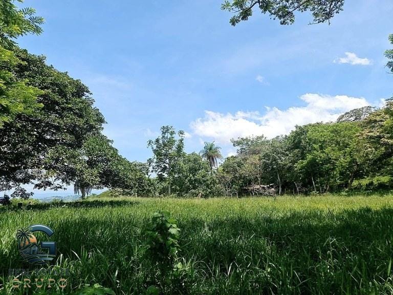 ll2300272_img-16_large