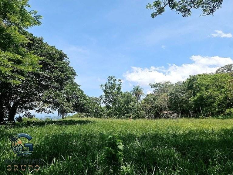 ll2300272_img-17_large