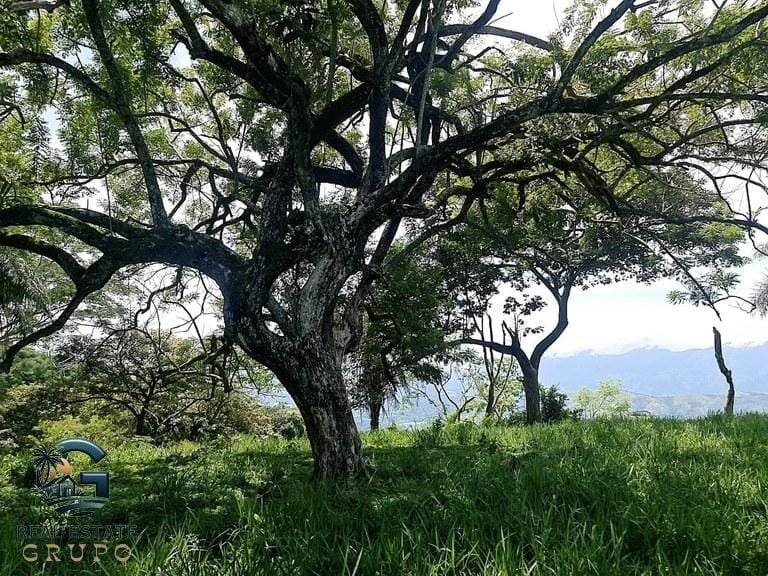 ll2300272_img-18_large