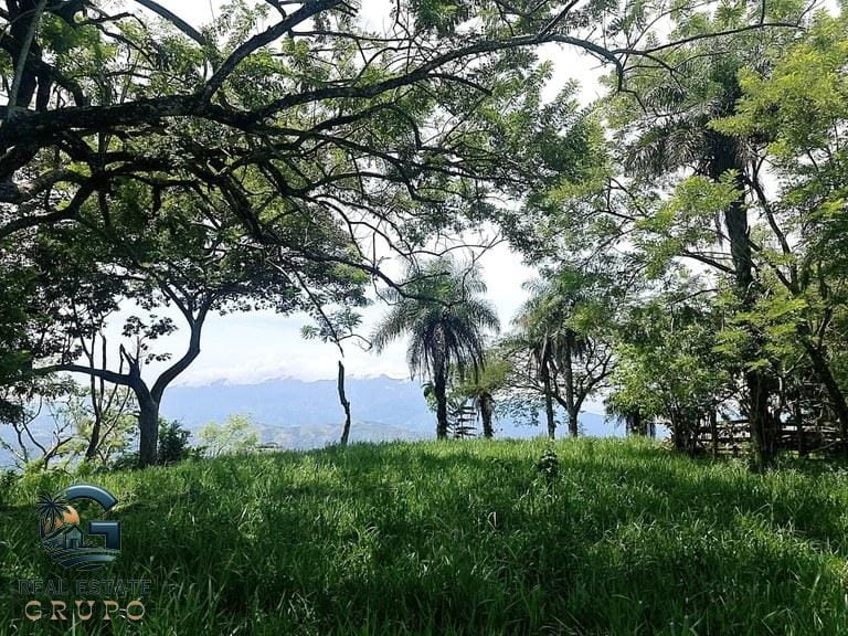 ll2300272_img-19_large