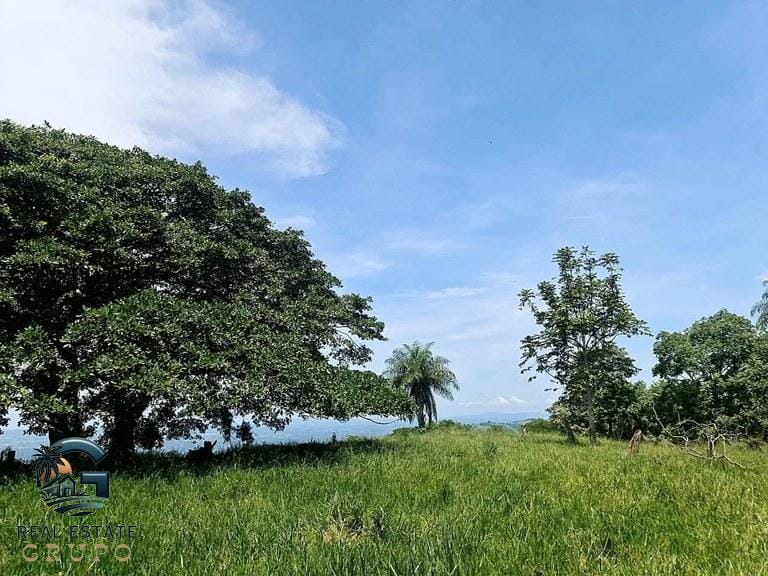 ll2300272_img-20_large