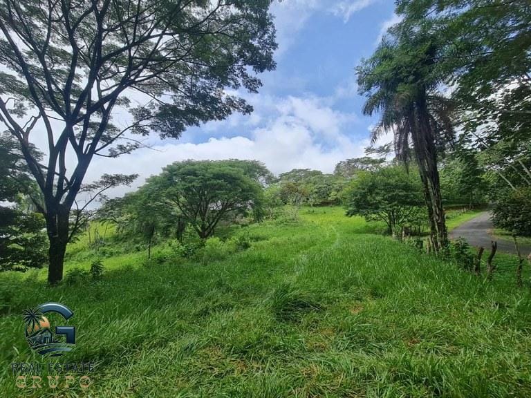 ll2300272_img-21_large