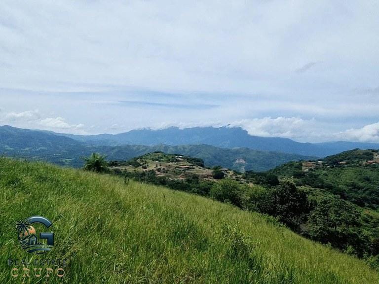 ll2300272_img-4_large