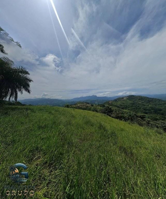 ll2300272_img-5_large