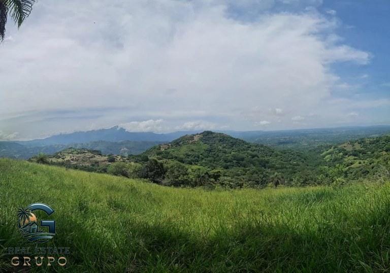 ll2300272_img-7_large