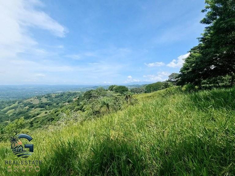 ll2300272_img-8_large