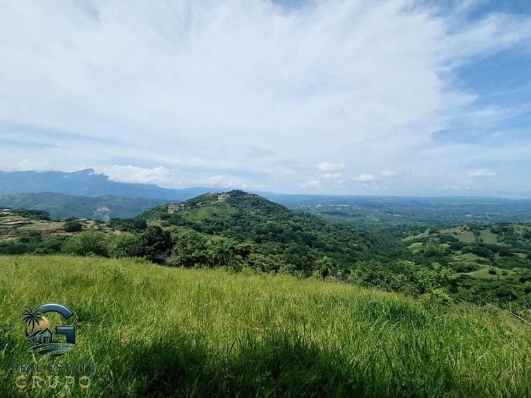 ll2300272_img-9_large