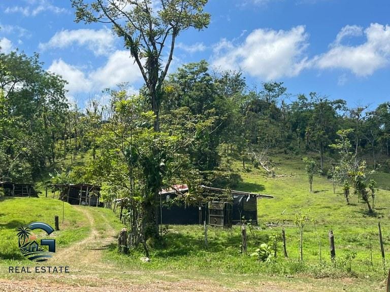 ll2300338_img-13_large