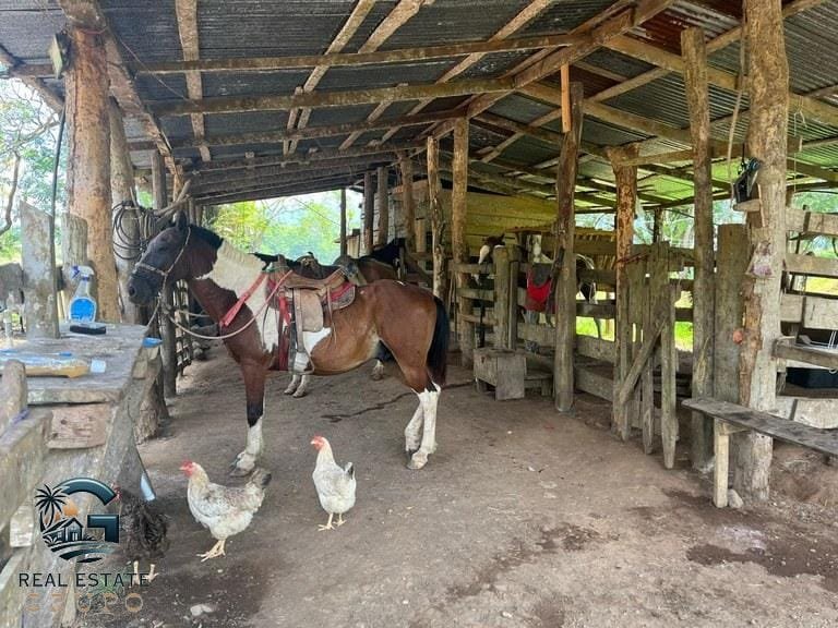 ll2300338_img-15_large