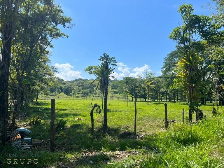 ll2300338_img-18_large