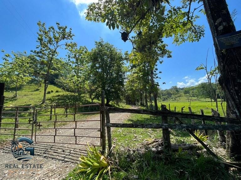 ll2300338_img-21_large