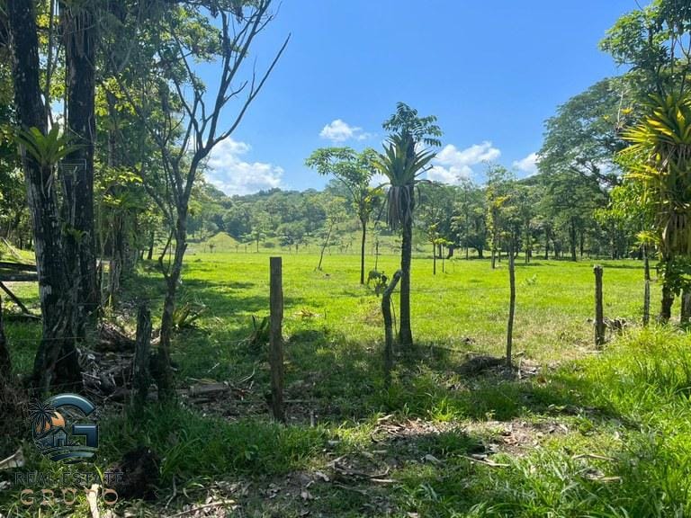 ll2300338_img-22_large