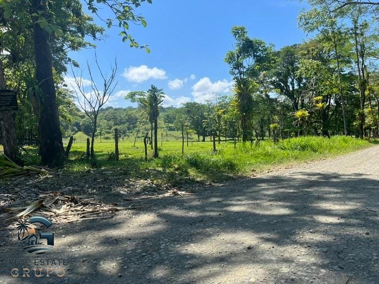 ll2300338_img-23_large