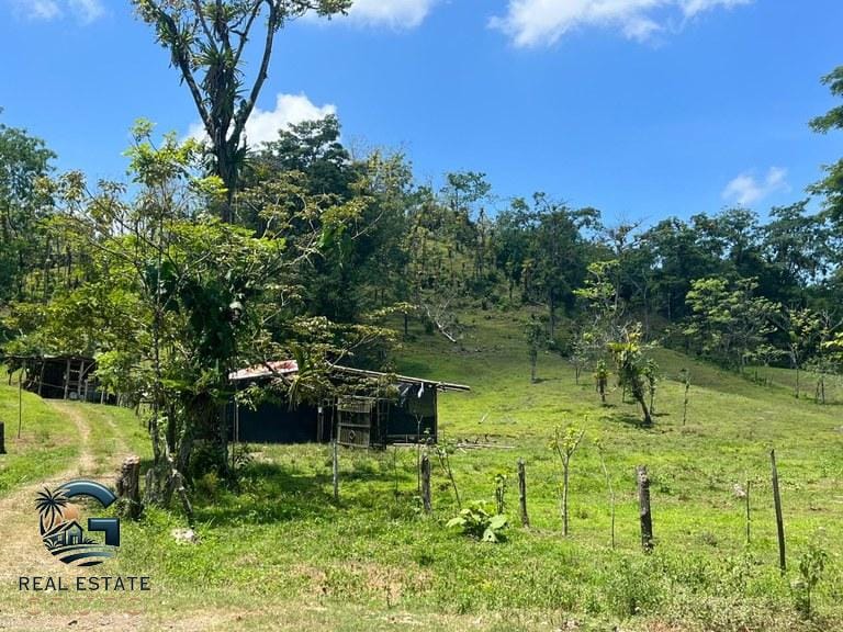 ll2300338_img-4_large