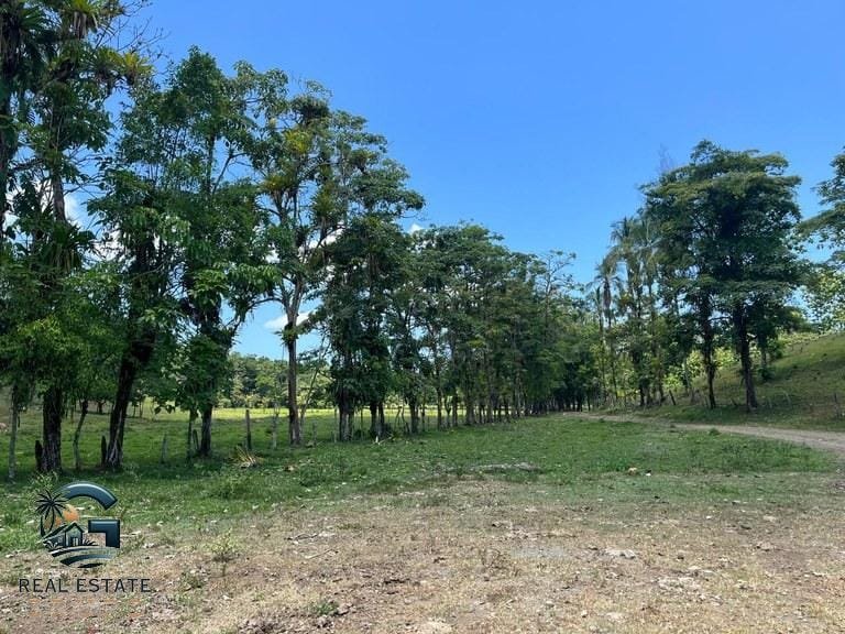 ll2300338_img-7_large