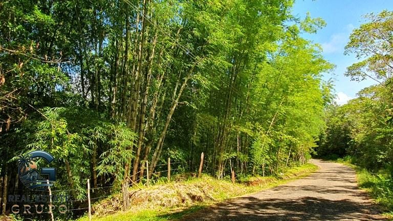 ll2300347_img-12_large