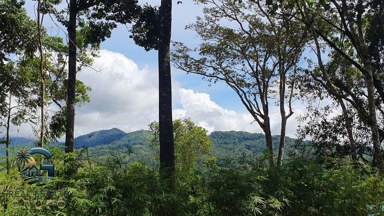 ll2300347_img-14_large