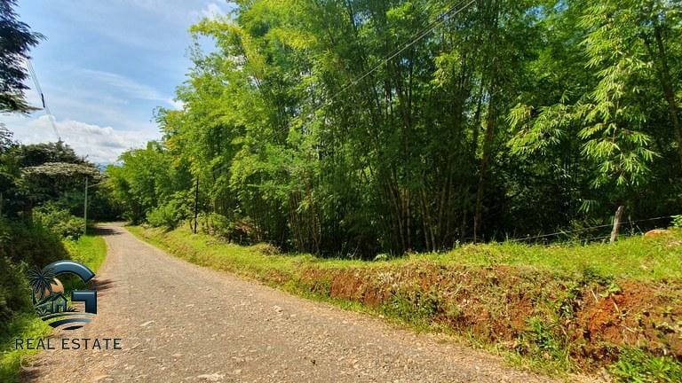 ll2300347_img-2_large