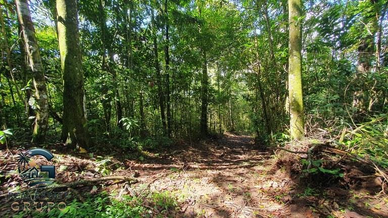 ll2300347_img-3_large