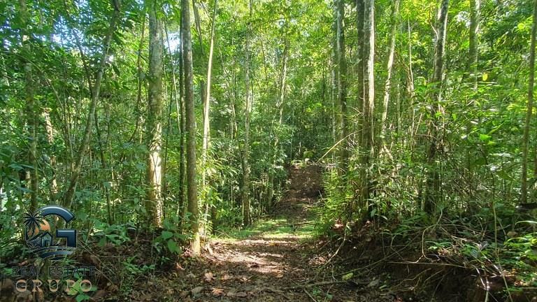 ll2300347_img-5_large