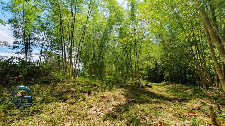 ll2300347_img-8_large