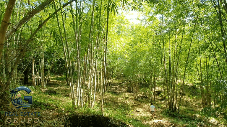 ll2300347_img-9_large