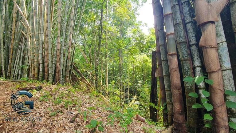 ll2300348_img-13_large