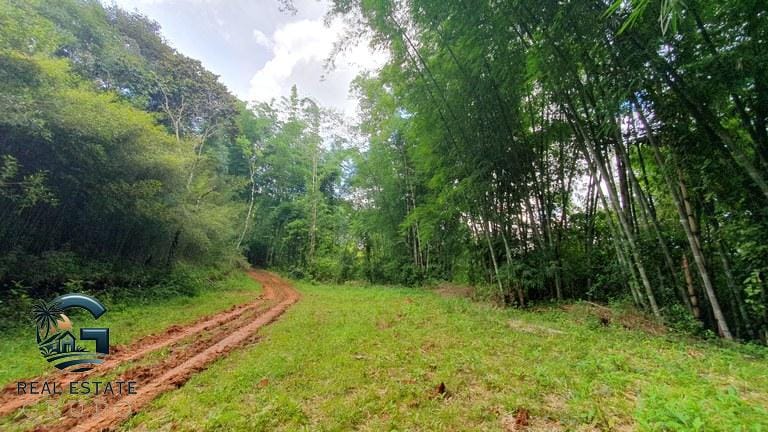 ll2300348_img-15_large