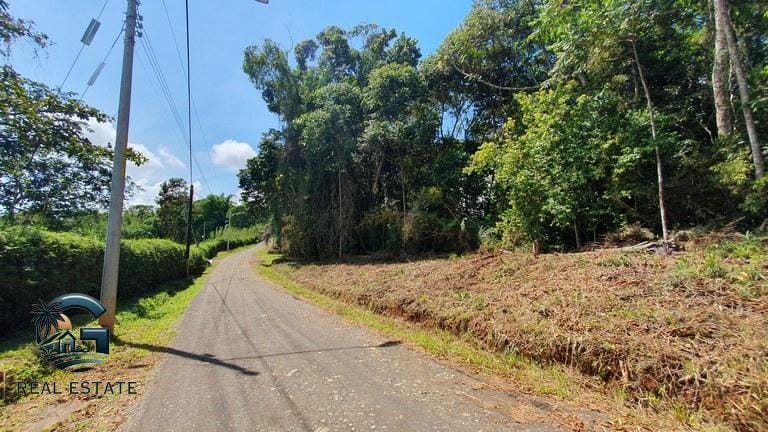 ll2300348_img-4_large