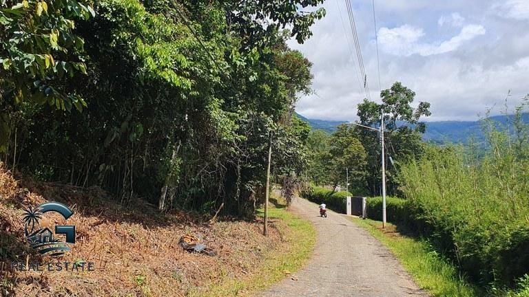 ll2300348_img-5_large