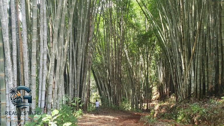 ll2300348_img-7_large