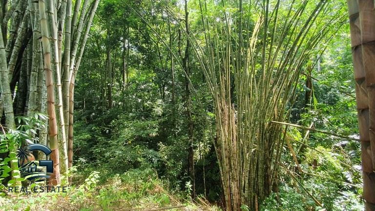 ll2300348_img-9_large