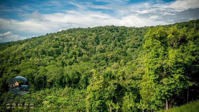 ll2300363_img-10_large