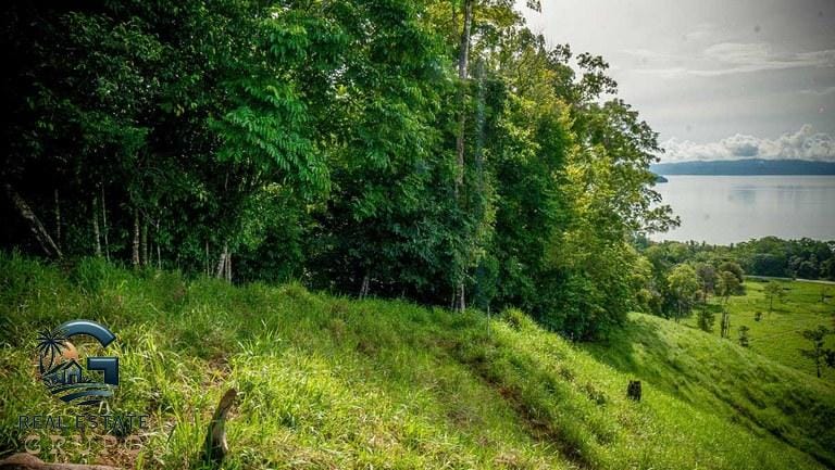 ll2300363_img-11_large