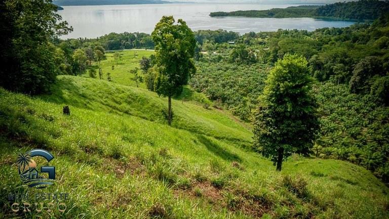 ll2300363_img-12_large