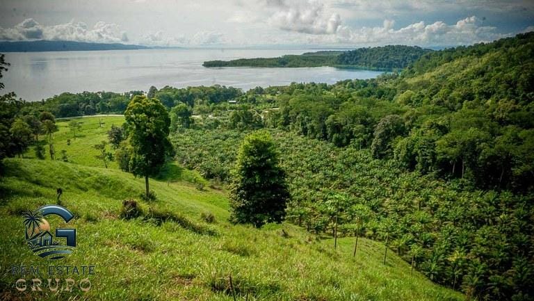 ll2300363_img-13_large