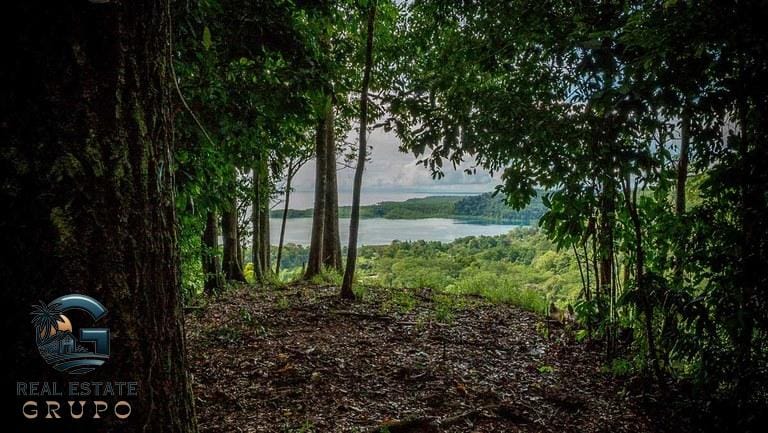 ll2300363_img-18_large