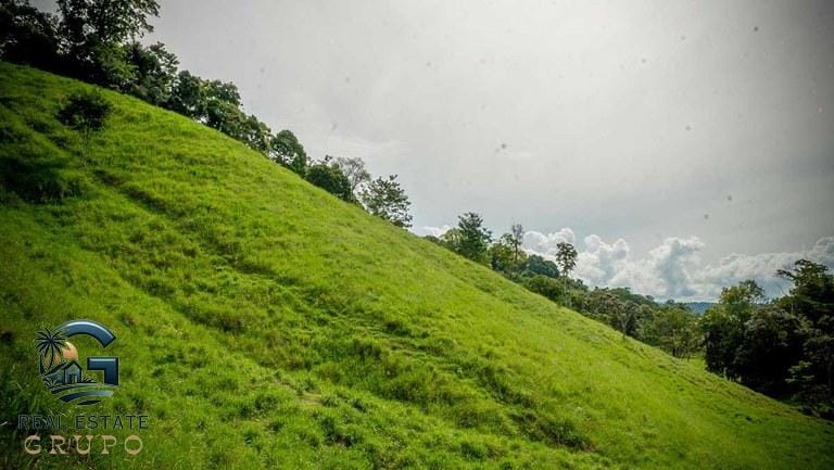 ll2300363_img-23_large