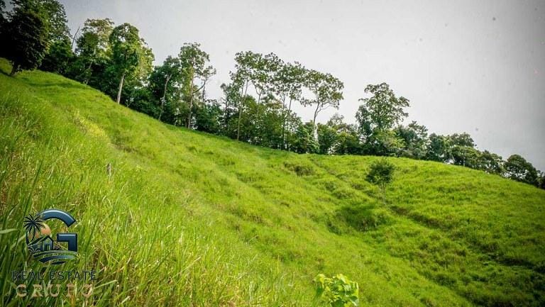 ll2300363_img-24_large