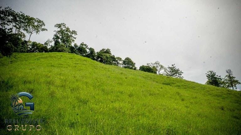 ll2300363_img-25_large