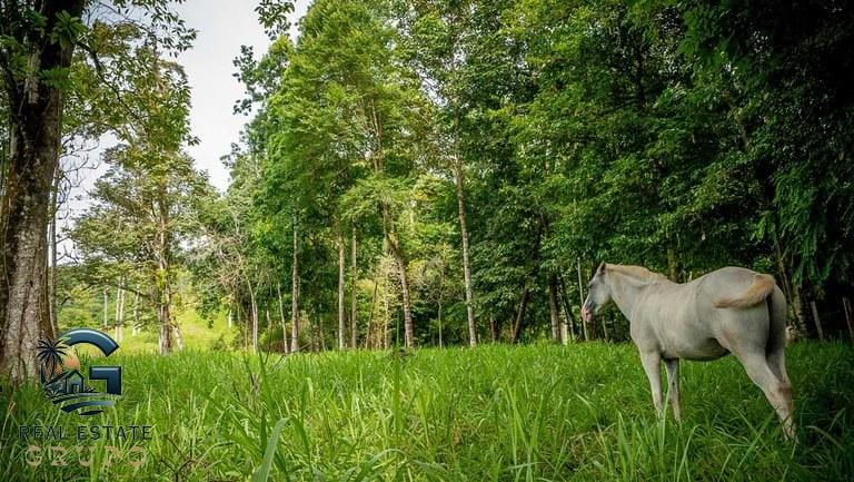 ll2300363_img-30_large