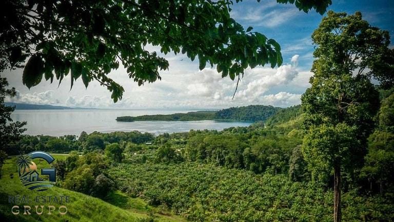 ll2300363_img-8_large