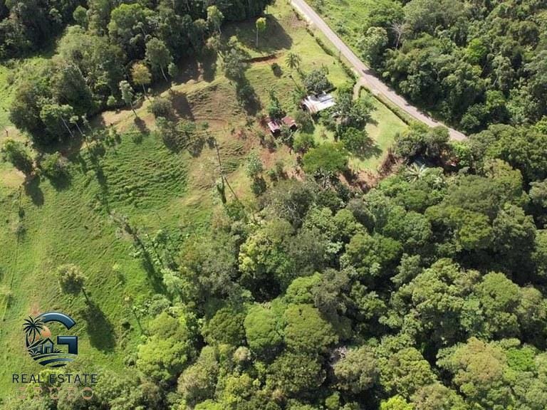 ll2300364_img-11_large