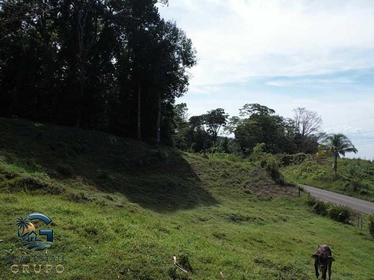 ll2300364_img-14_large