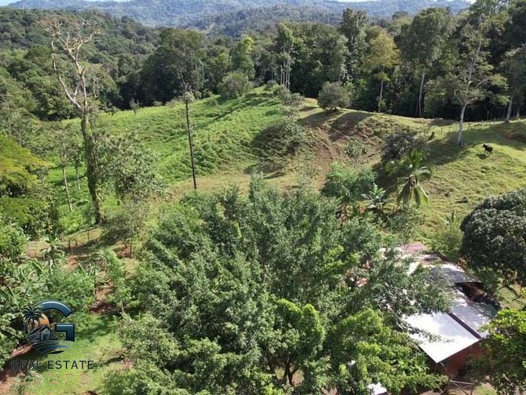 ll2300364_img-21_large