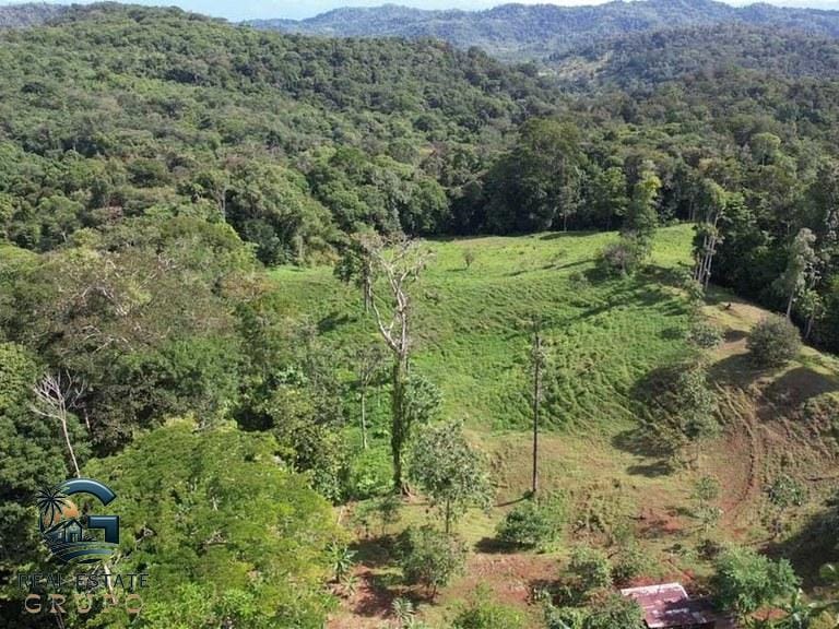 ll2300364_img-22_large