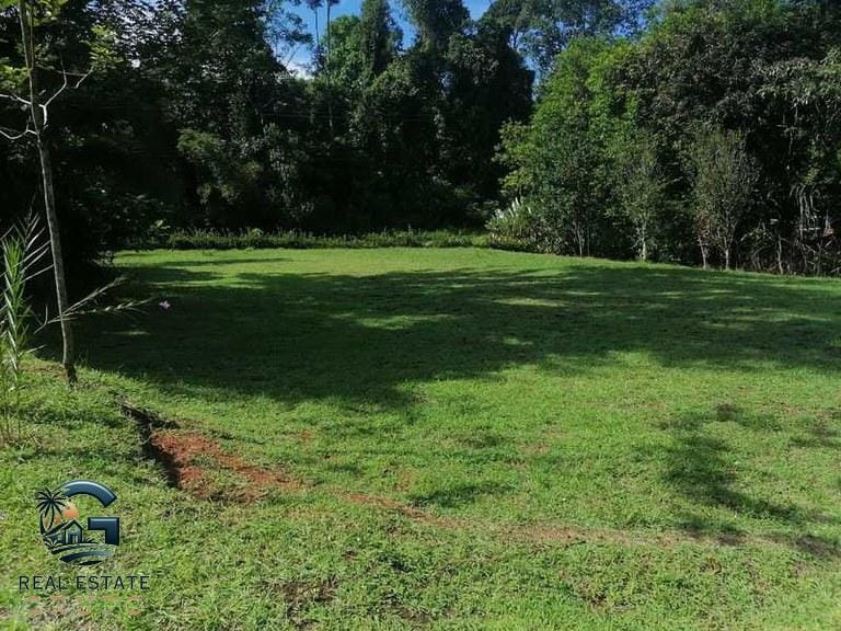 ll2300364_img-35_large