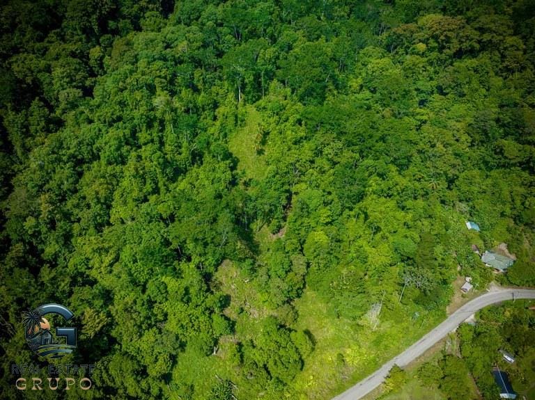 ll2300368_img-11_large