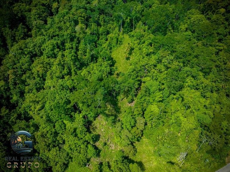 ll2300368_img-13_large