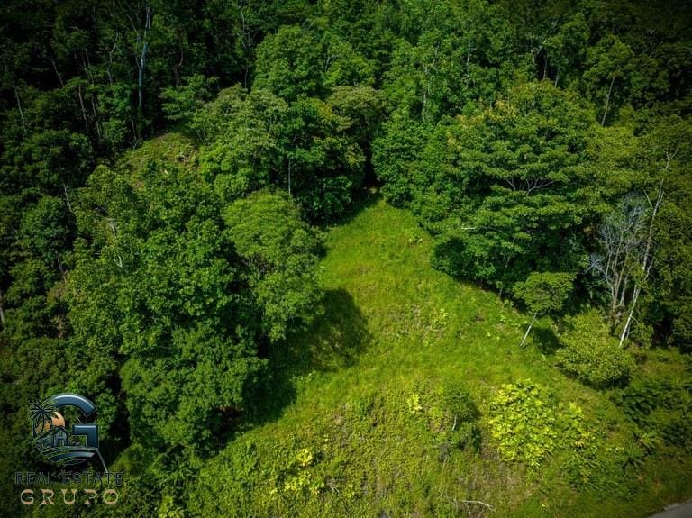 ll2300368_img-14_large